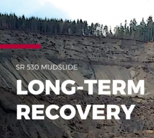 SR530 long-term recovery cover page